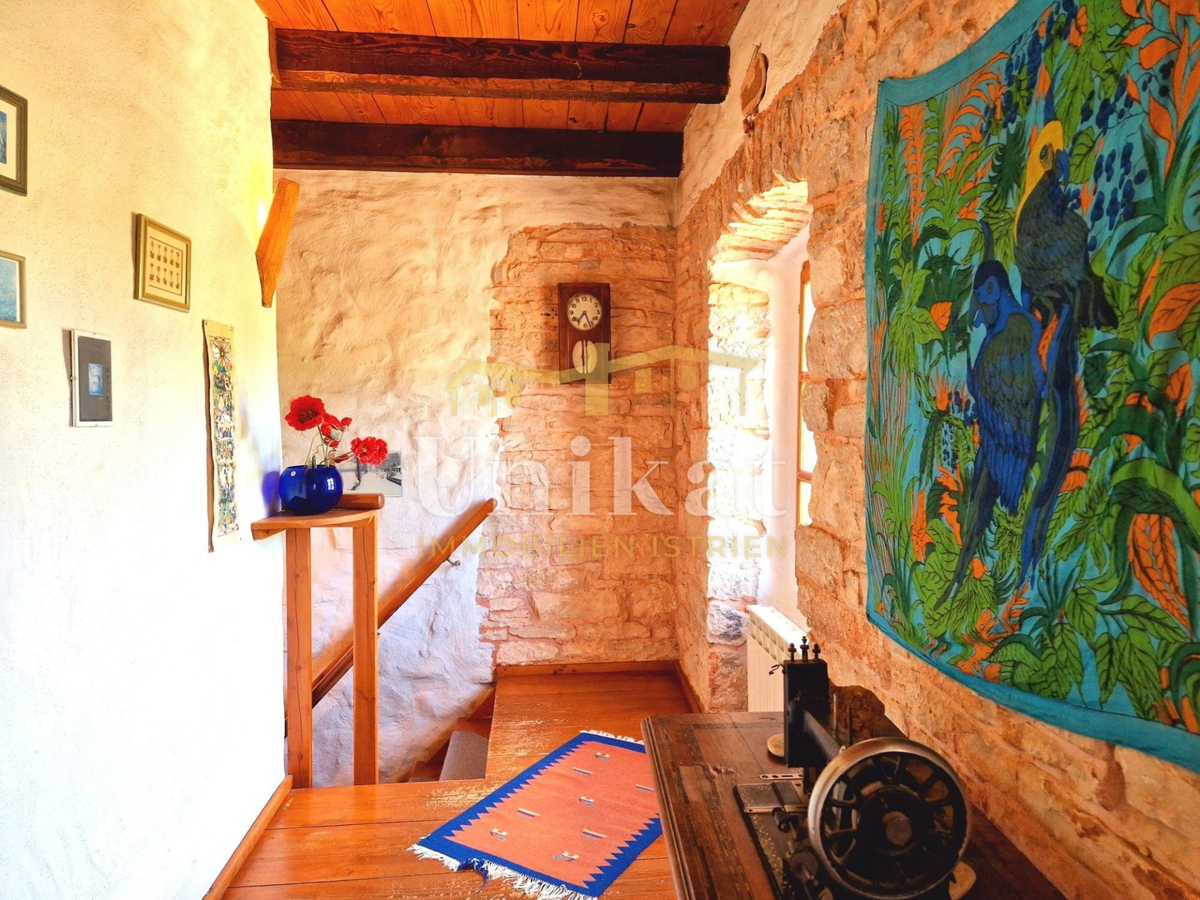 Avtentično posestvo s kamnito hišo in velikim zemljiščem